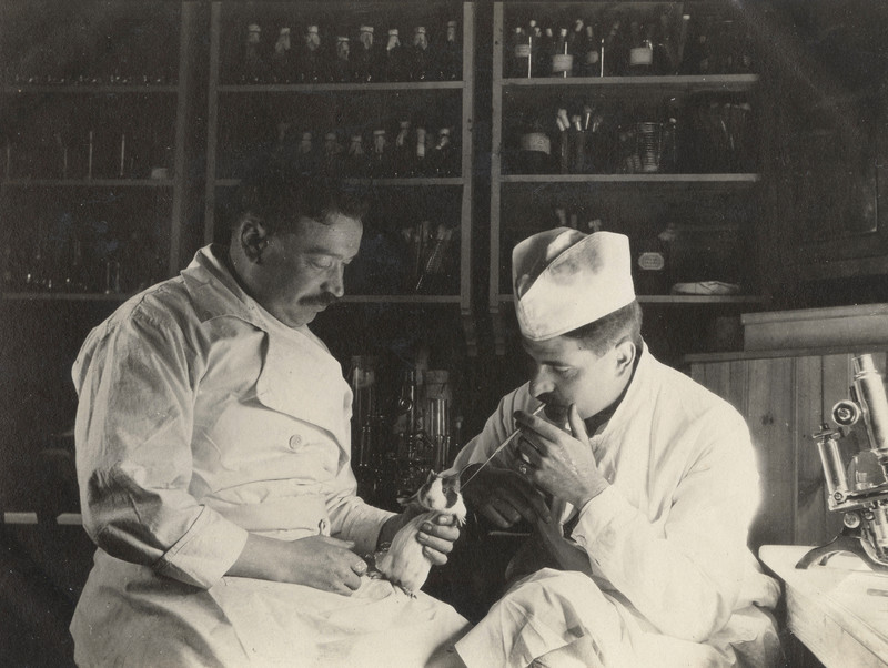 World War I. Dr. Vauchez inoculate a guinea pig in his laboratory of bacteriology (France). In September 1915.